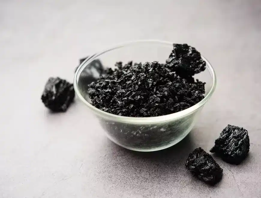 Shilajit résine pure